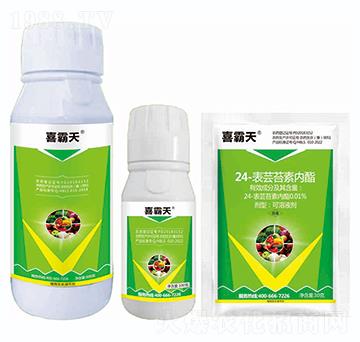 24-���|̦�؃�֬-ϲ����-�{��Ʒ��