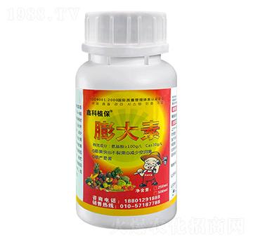 �����-�ο�ֲ��