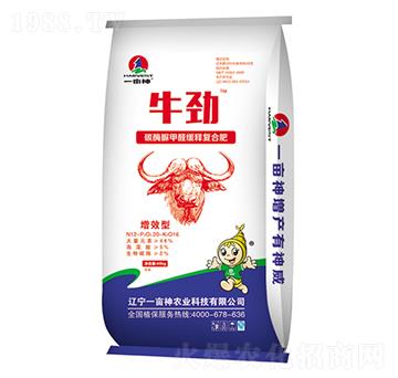 ̼ø���ȩ��ጏͺϷ���12-60-16-ţ��-һ����