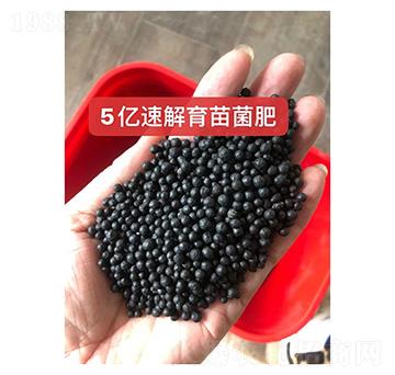 5�|�ٽ��������--���r(n��ng)