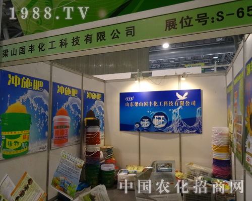 2013���׏�(f��)�ʕ�(hu��)�h