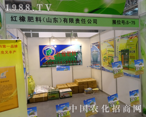 2013���׏�(f��)�ʕ��h