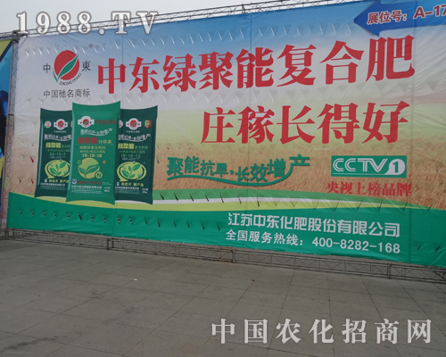 �Ж|���ʳ��F(xi��n)���Ї��׏ͷ�չ�[��