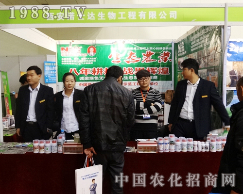 �Zʿ�_(d��)��2013��ȫ��(gu��)�r(n��ng)�Y��(hu��)��high����(ch��ng)