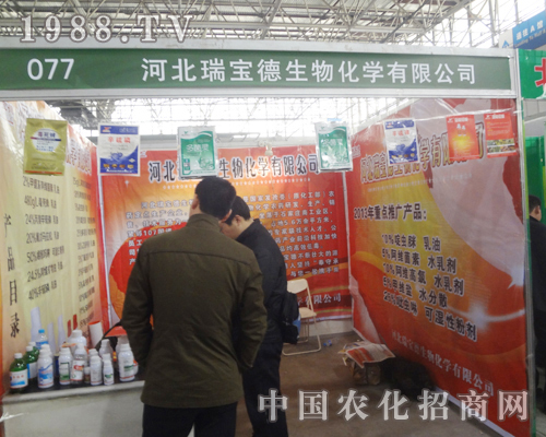 �ӱ���������A���F��2013�ȷ�ֲ��չ