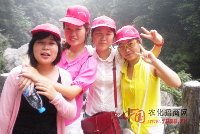 �������_����-���Ƿ�