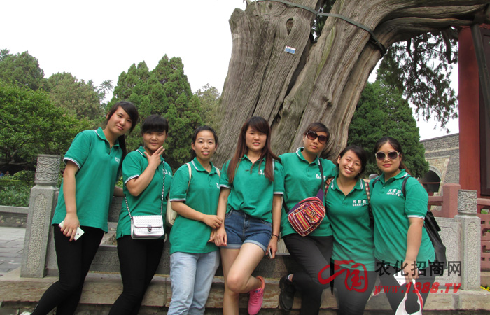 �I(l��ng)��̩ɽ�L(f��ng)�� ����̩ɽ��Ȼ�Ļ�����