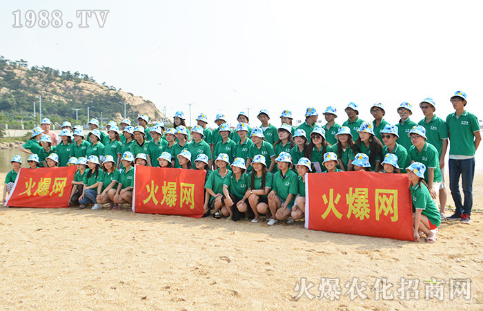 �q�����ϣ���(m��ng)�q����