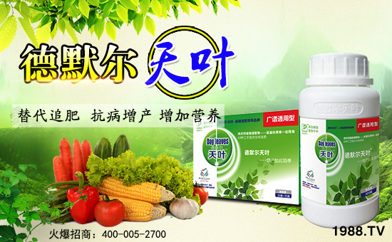 ����Ĭ������I�B(y��ng)��˾3