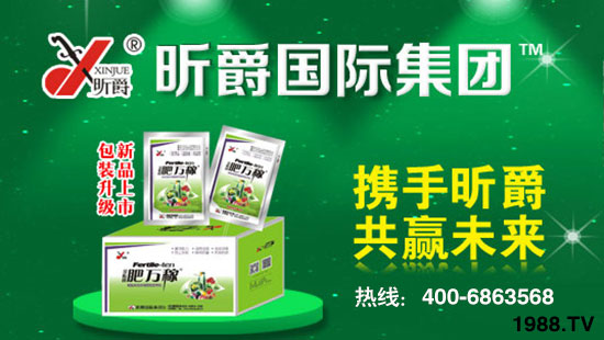 昕爵國際集團(tuán)