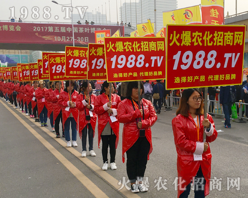 2017��ɽ�|ֲ����(hu��)���r(n��ng)������Ч����(qi��ng)��