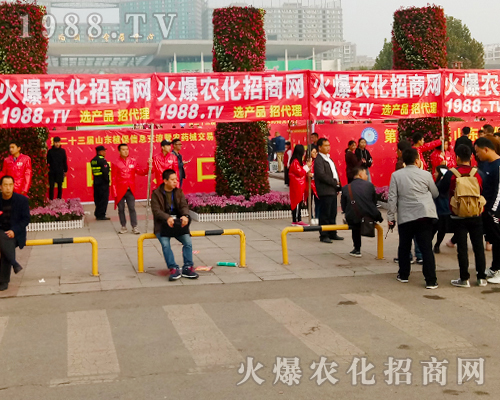     2017ɽ�|ֲ���p������1988.TVŬ��ƴ�����^����ǰ��