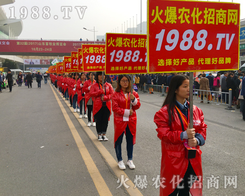 2017ɽ�|ֲ�����ו������c(di��n)ͻ�@��1988.TV�ɽ��c(di��n)��