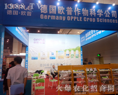 ���W����2017�����r(n��ng)ˎ����������