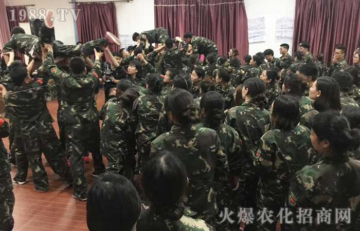 ���𱬾W(w��ng)2017�����X��Ӗ(x��n)���I����Ӗ(x��n)���Y(ji��)