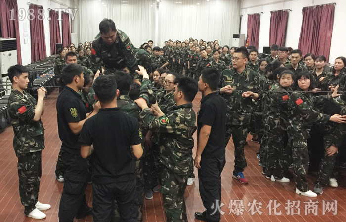 �𱬾W(w��ng)2017��(d��ng)���X��Ӗ(x��n)���I֮�F(tu��n)�(du��)����