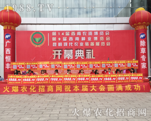 ��ʮ�Č������r(n��ng)���[���ϻ��r(n��ng)���W(w��ng)��Ӣ�ɳ�������(zh��n)����