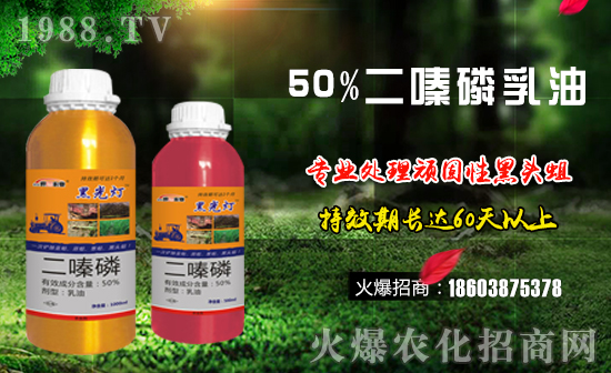 ����������ף����µ�һ�����f�����������������