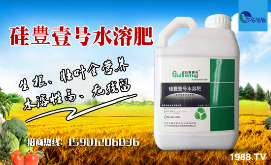 ����(li��n)��(chu��ng)�¡�ף������µ�һ�������w�������H�Қg��(l��)!