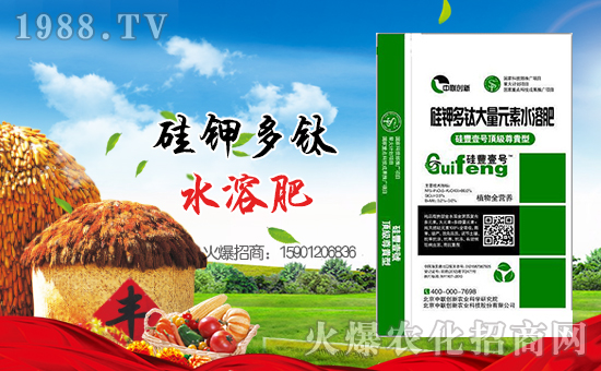 ����(li��n)��(chu��ng)�¡�ף������µ�һ�������w�������H�Қg��(l��)!