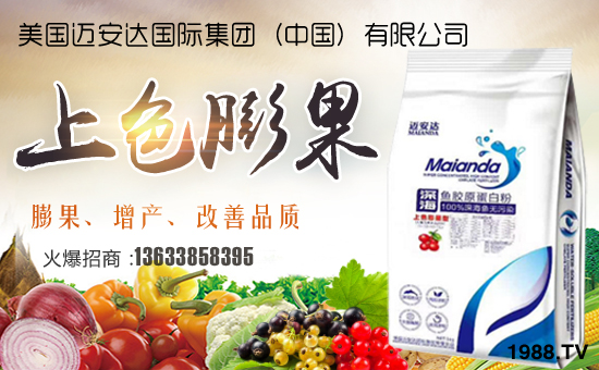 �����~���_���H���F���Ї������޹�˾