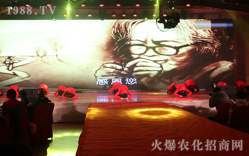 ��Ҋ�𱬣���������������