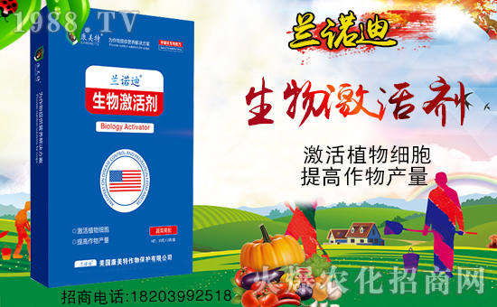 �����������ף������µ�һ���﹤�����������������