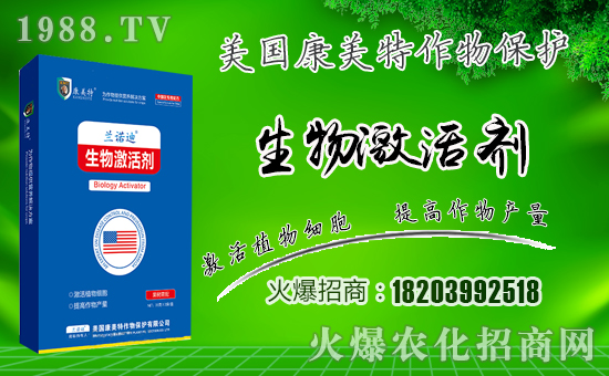 �����������ף������µ�һ���﹤�����������������