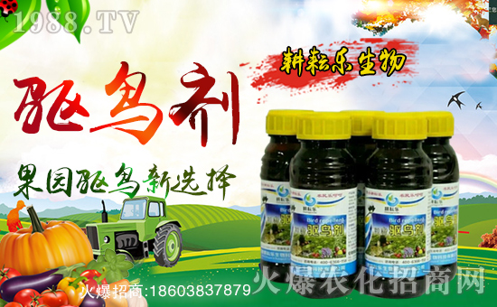 �����Ř����ף������µ�һ���������³ɣ��f��������