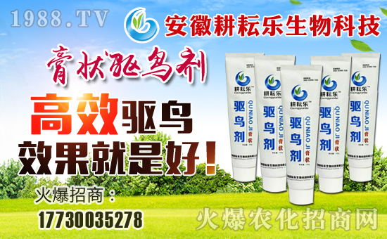 �����Ř����ף������µ�һ���������³����f�����⣡