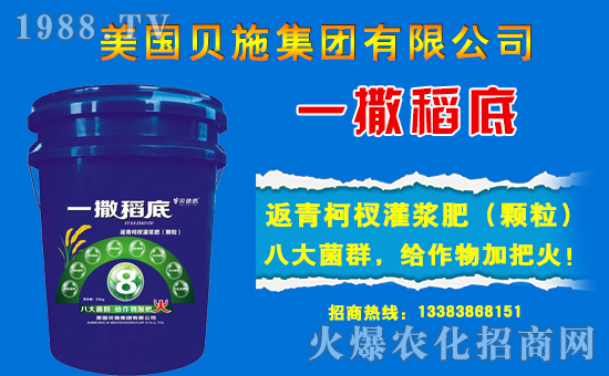 ������(gu��)ؐʩ����ף���ؽ�(j��ng)�N(xi��o)������ǧ�¼��飬�f(w��n)��������