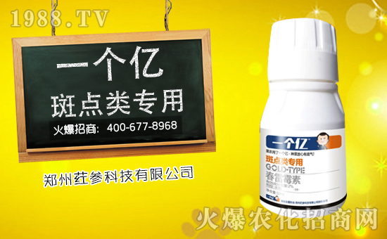 ��ȇ���Ƽ���ף������µ�һ�����Ҹ����M���H�Қg����