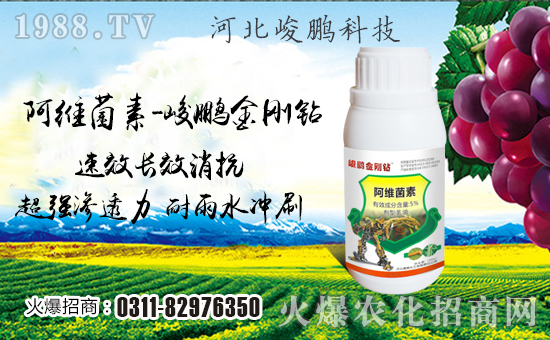 �����i�Ƽ���ףȫ���������w���������������