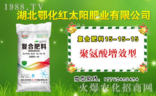 ���t̫�(y��ng)�ʘI(y��)��ףȫ��(gu��)�������µ�һ���﹤�����������������