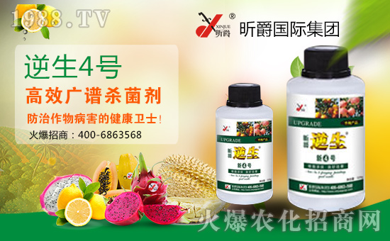     �����Y(ji��)���´����������˚gЦ���_�_���ğo�������������I(y��)����ֵ���´��ѹ�(ji��)���R֮�H��꿾���H���F(tu��n)ף������µ�һ����ؔԴ�L�L����