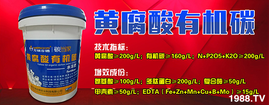 ��ɽ�|�f(w��n)��ȵ¡�ȫ�w�T���o�r(n��ng)�Y��(j��ng)�N�����т���������