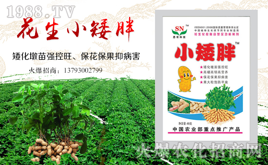 ���������ף����ҹ������������������