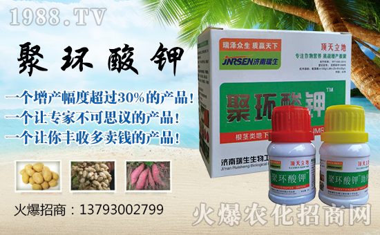 ���������ף����ҹ������������������