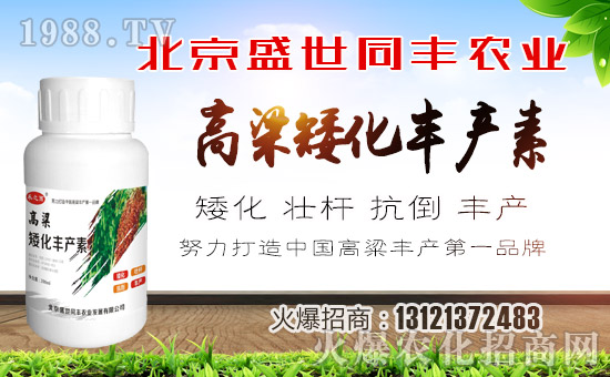 ��ʢ��ͬ�S��ףȫ�����ѹ�������f�����⣡