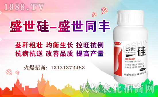 ʢ����-��֮��-ʢ��ͬ�S