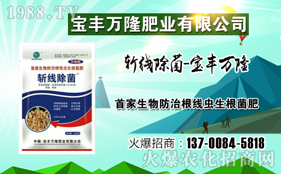 �����S�f(w��n)¡��ף������µ�һ�����Ҹ����M(m��n)���H�Қg��(l��)��