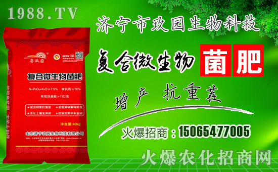 �����@���ףһ·�߁������т����w���������������