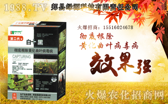 ���GԴ�Ƽ���ף������µ�һ�������w�����������³����f��������