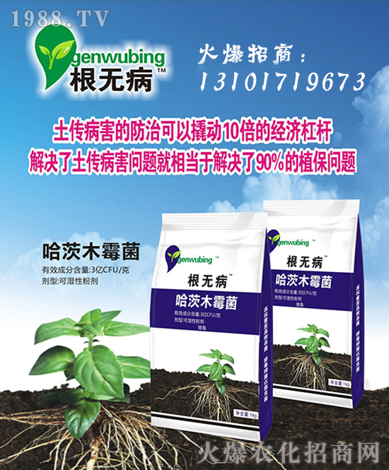 ���Ї����z��ʩ��ȫ�w�T����ף�V������͑�����옷���f��������