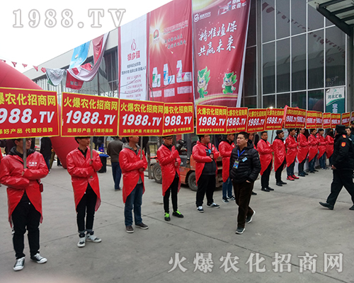 Ҫ����������1988.TV�ذ�����2018�ӱ�ֲ������