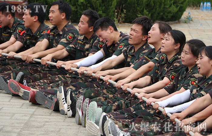 һ·���_(k��i)��һ·��������ʮ�꣬�ġ��ġ����l(f��)��