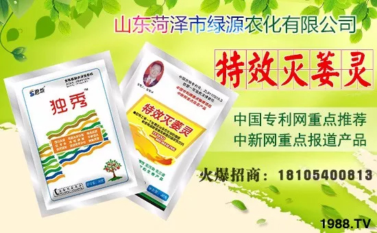     �ڴ�������R֮�H��ɽ�|�ʝ��оGԴ�r(n��ng)�����޹�˾ȫ�w�T��ף�����g�gϲϲӭ�i�����f������ƽ���꣬�P(y��ng)ü����������I(y��)�ɹ��x�������ϼҚg���Ҹ��������w�����f�f�������