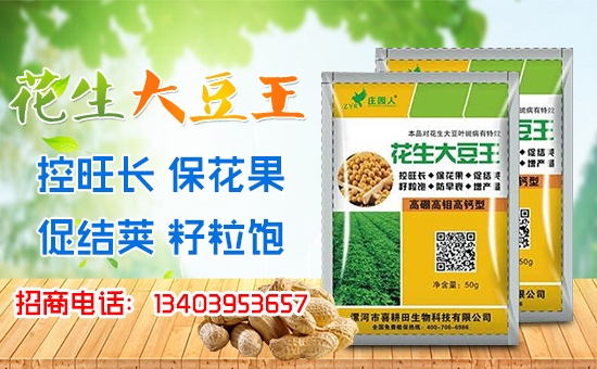 ��ϲ�������ףȫ����(j��ng)�N������A�M�������������������