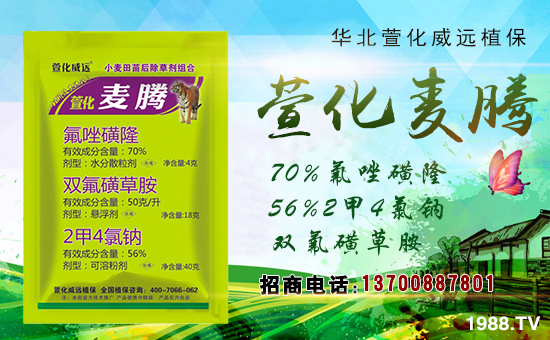 ���滯���h(yu��n)��ף������µ�һ���(l��i)���w�������f(w��n)��������