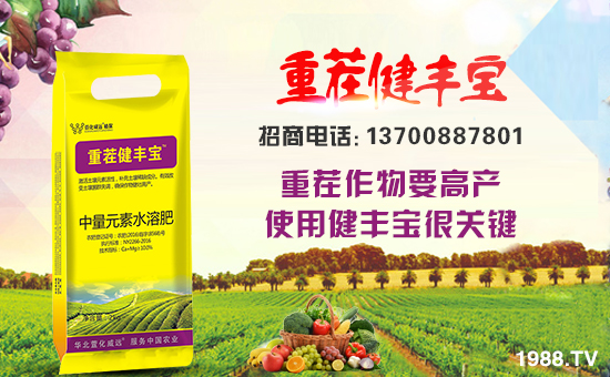 ���滯���h(yu��n)��ף������µ�һ���(l��i)���w�������f(w��n)�����⣡